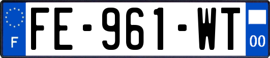 FE-961-WT