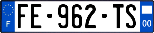 FE-962-TS