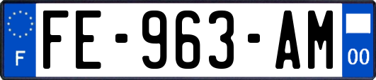 FE-963-AM