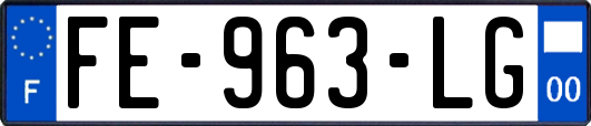 FE-963-LG