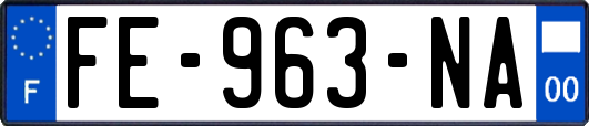 FE-963-NA