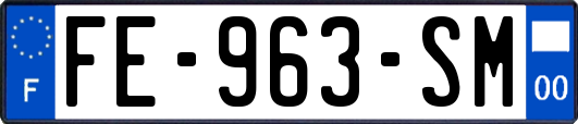FE-963-SM