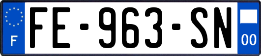 FE-963-SN