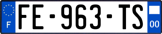 FE-963-TS