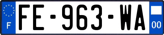 FE-963-WA