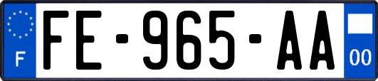 FE-965-AA