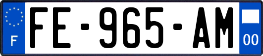 FE-965-AM