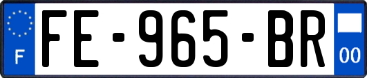 FE-965-BR
