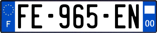 FE-965-EN