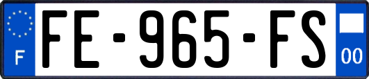 FE-965-FS