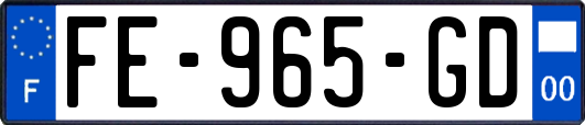 FE-965-GD