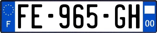 FE-965-GH