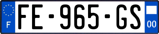 FE-965-GS