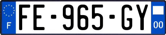 FE-965-GY