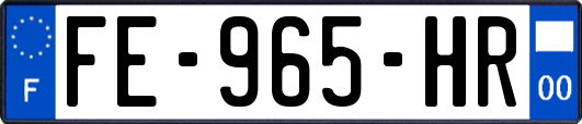 FE-965-HR