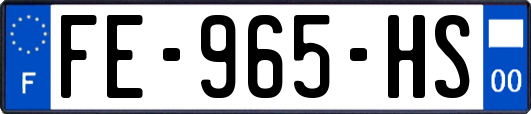 FE-965-HS
