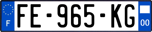 FE-965-KG
