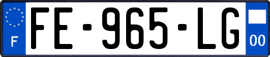 FE-965-LG