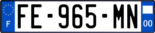 FE-965-MN