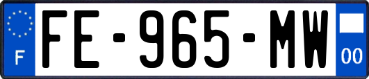 FE-965-MW
