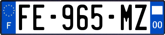 FE-965-MZ