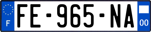 FE-965-NA