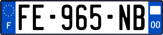 FE-965-NB