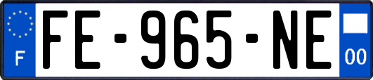 FE-965-NE