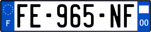 FE-965-NF