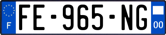 FE-965-NG