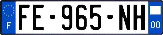 FE-965-NH