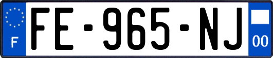 FE-965-NJ