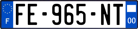 FE-965-NT
