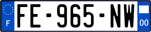 FE-965-NW