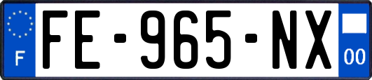 FE-965-NX