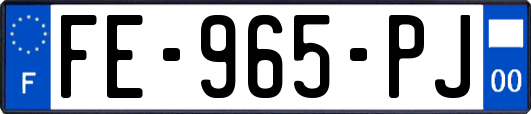 FE-965-PJ