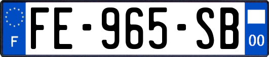 FE-965-SB