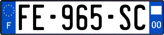 FE-965-SC