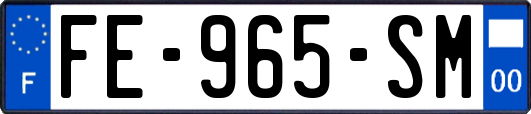 FE-965-SM