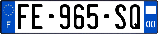 FE-965-SQ