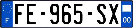 FE-965-SX