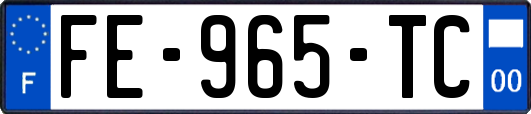 FE-965-TC