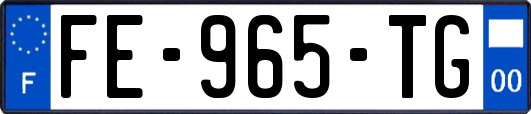 FE-965-TG