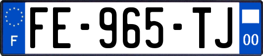 FE-965-TJ