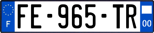 FE-965-TR