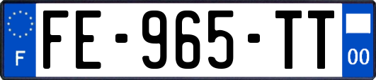 FE-965-TT