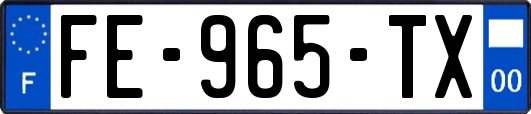 FE-965-TX
