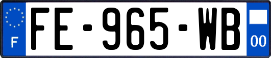 FE-965-WB