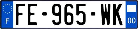 FE-965-WK