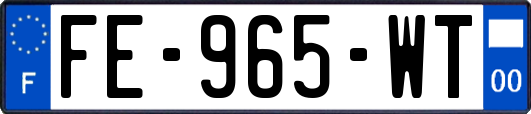 FE-965-WT